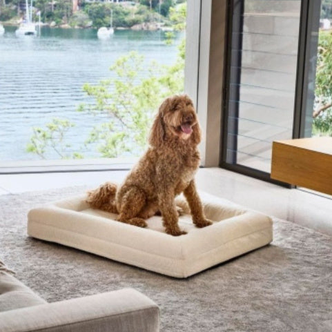 Rectangular Pet Sofa Bed Thickened Mattress