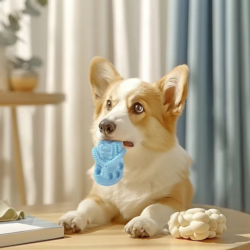 Pet Dog Chewing Toys, Slippers, Teething Toys For Puppies, Durable Rubber Shoes And Slippers, Cleaning Teeth And Protecting Oral Health