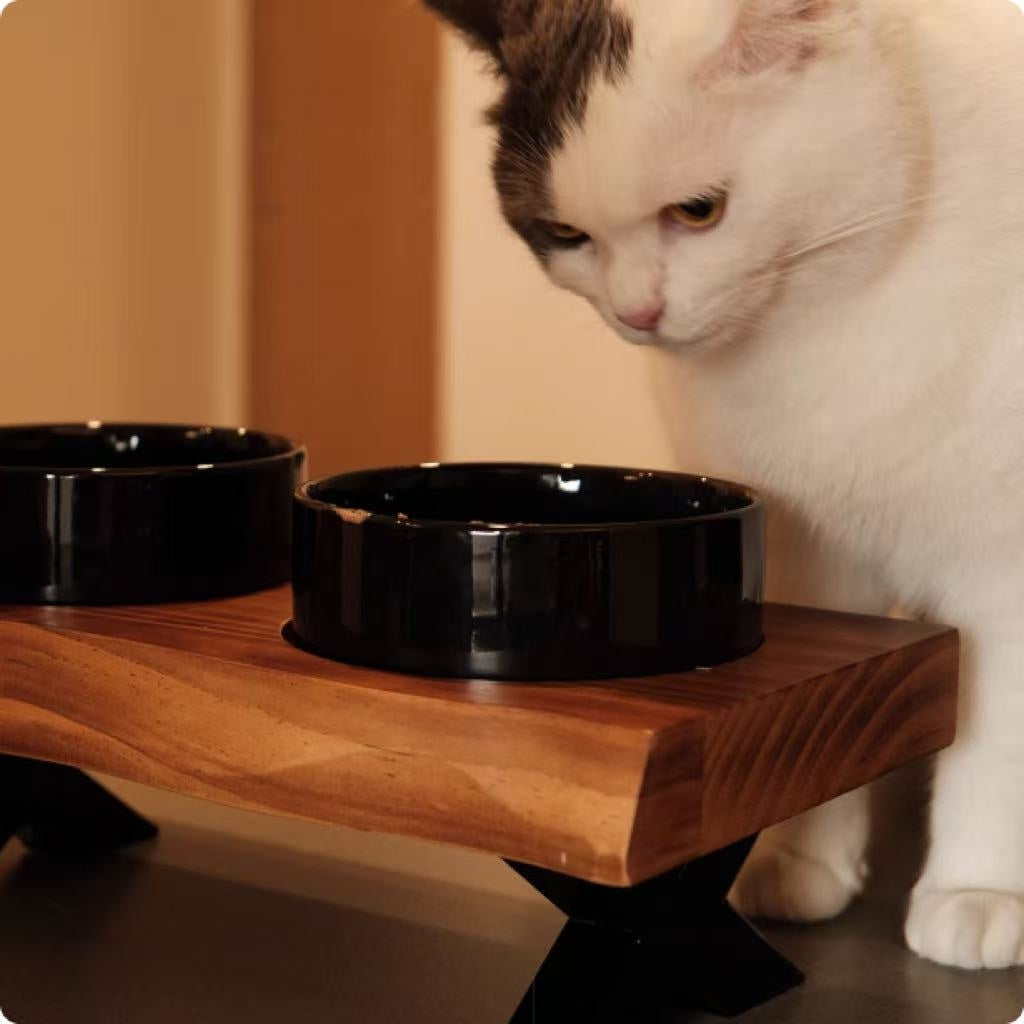 Anti-tumble Wooden Frame Ceramic Pet Bowl