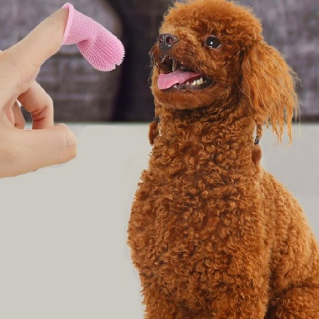 360-degree Silicone Finger Toothbrush For Cross-border Pets, Deep Oral Cleaning Finger Sleeve For Dogs And Cats